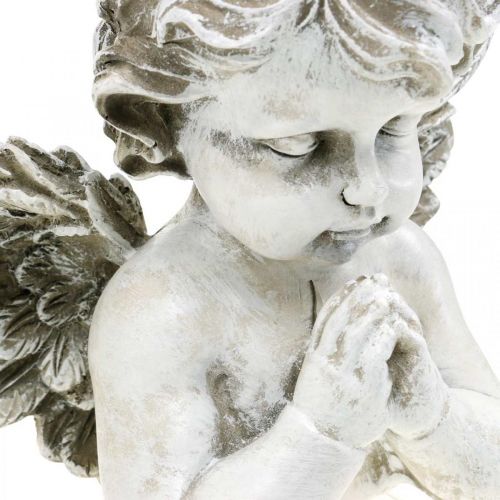 Floristik24 Anjo em oração, floricultura fúnebre, busto de figura de anjo, decoração de sepultura Alt.19cm L19.5cm