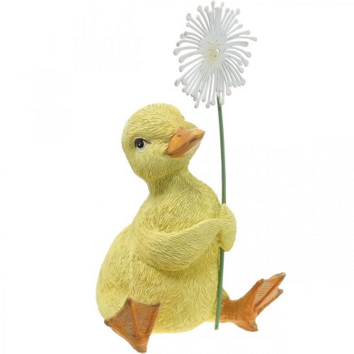 Floristik24 Decoração primaveril, patinhos com dente de leão, figura decorativa Alt. 13,5cm