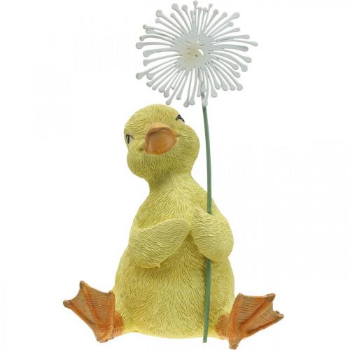 Floristik24 Decoração primaveril, patinhos com dente de leão, figura decorativa Alt. 13,5cm