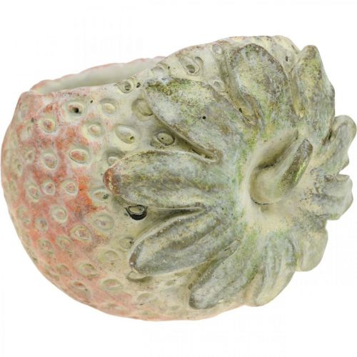 Itens Morango decorativo, vaso de plantas, decoração de concreto para plantio L17cm
