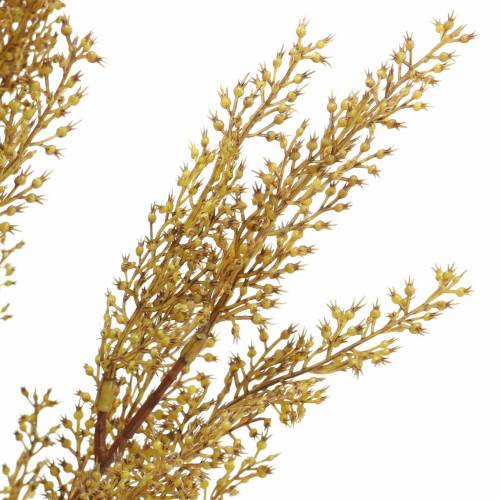 Floristik24 Ramo de urze decorativo amarelo urze, marrom Alt.50cm