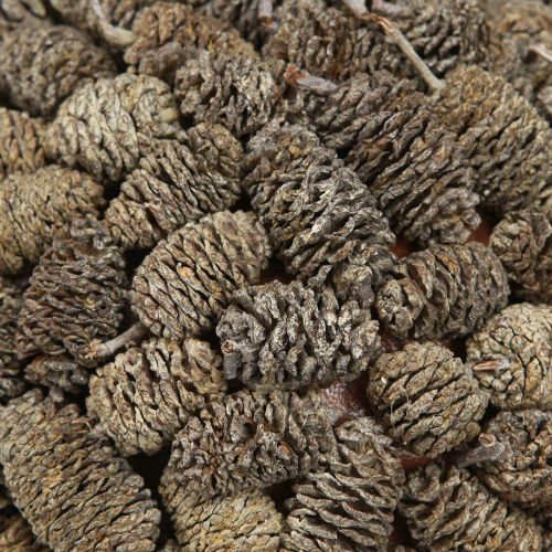 Itens Bola decorativa de cone de amieiro para pendurar, branca lavada, 20 cm