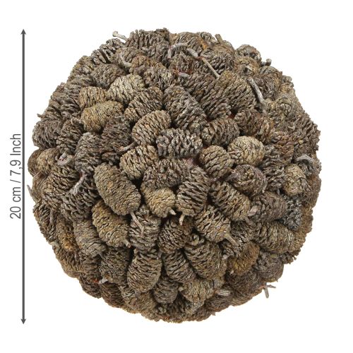 Itens Bola decorativa de cone de amieiro para pendurar, branca lavada, 20 cm