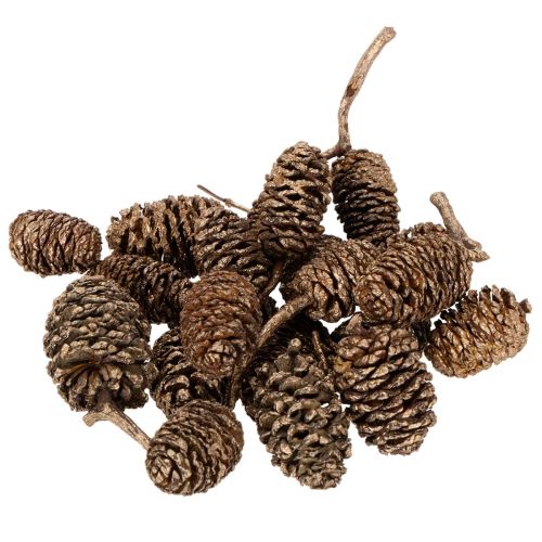 Pinhas de amieiro, produto natural para decoração e artesanato, douradas, 3 cm, 300 g