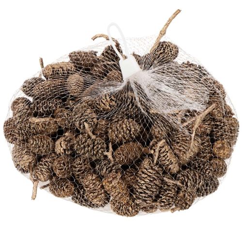 Pinhas de amieiro, produto
