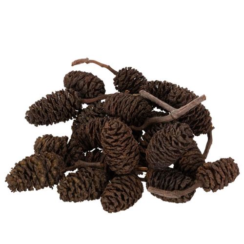 Pinhas de amieiro naturais, soltas, para decoração, 3cm, 300g, marrom natural.