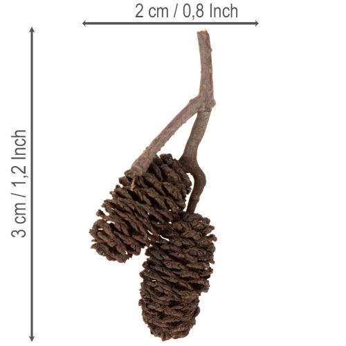 Pinhas de amieiro naturais,