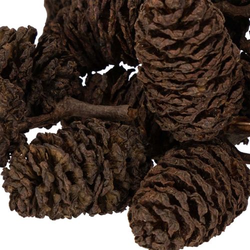 Pinhas de amieiro naturais,