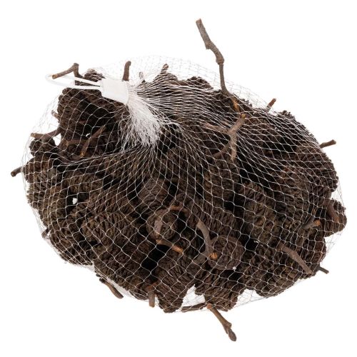 Pinhas de amieiro naturais,