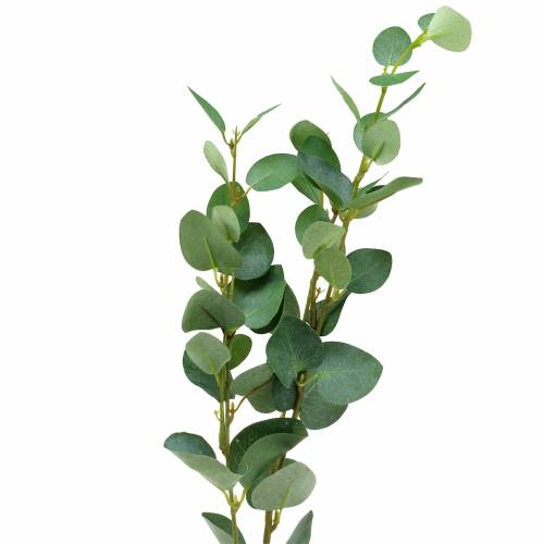 Floristik24 Ramo de eucalipto 76cm