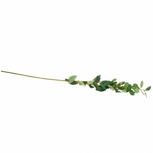 Floristik24 Ramo de eucalipto 76cm