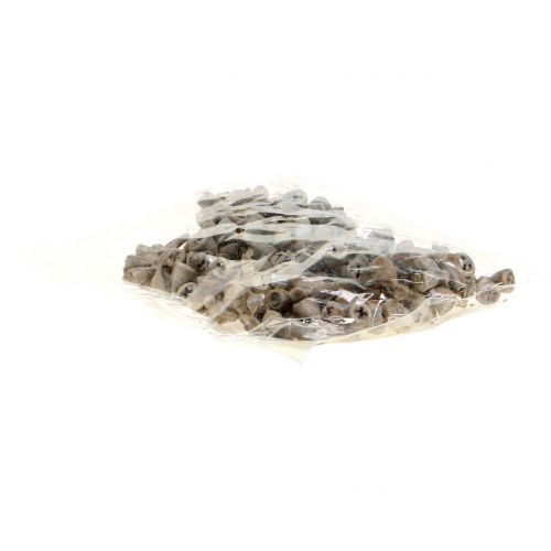 Floristik24 Frutos de eucalipto encerados marrom-acinzentados 250g