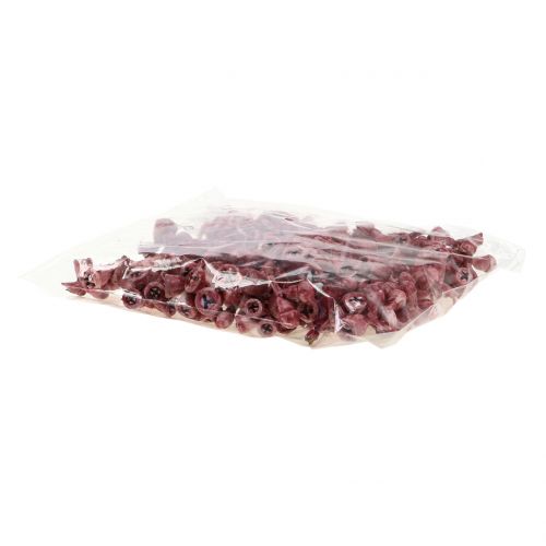 Floristik24 Frutos de eucalipto encerados de vermelho 250g