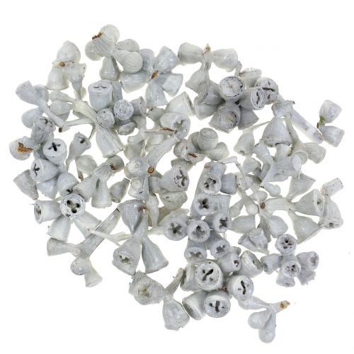 Floristik24 Frutos de eucalipto encerados de branco 250g