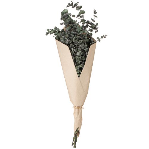 Itens Eucalipto Folhas Ramos Preservados Redondo Verde 150g