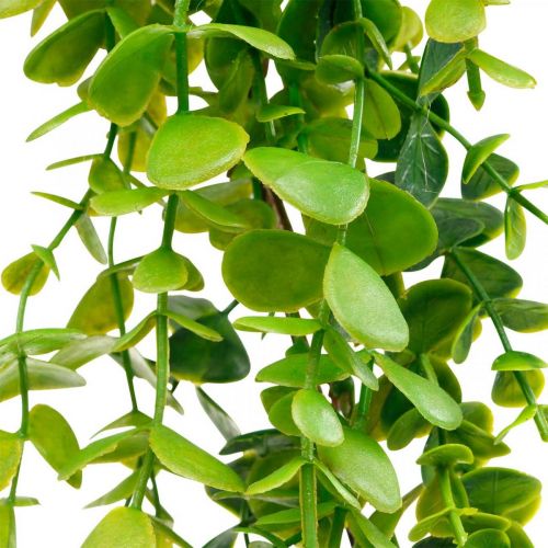 Floristik24 Guirlanda de eucalipto decoração de casamento verde artificial 122cm