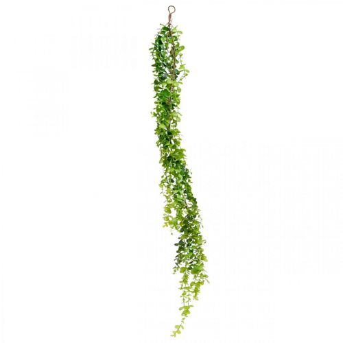 Floristik24 Guirlanda de eucalipto decoração de casamento verde artificial 122cm