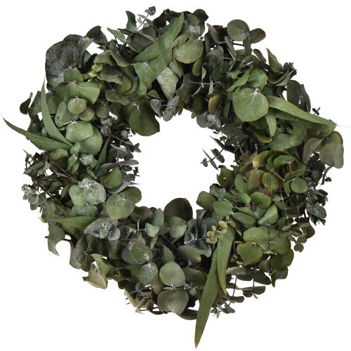 Itens Coroa de eucalipto coroa natural eucalipto conservado Ø35cm