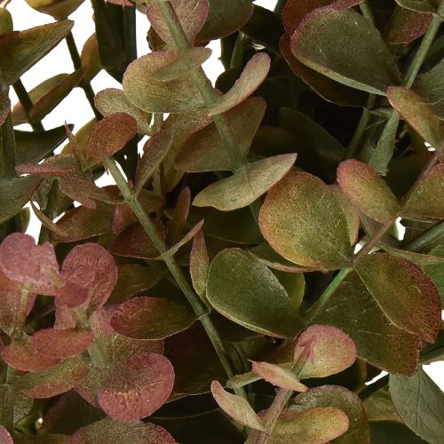 Itens Coroa de eucalipto artificial decoração de outono eucalipto Ø36cm
