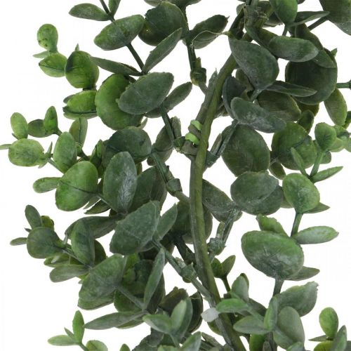 Floristik24 Grinalda decorativa eucalipto verde Grinalda artificial de eucalipto Ø32cm