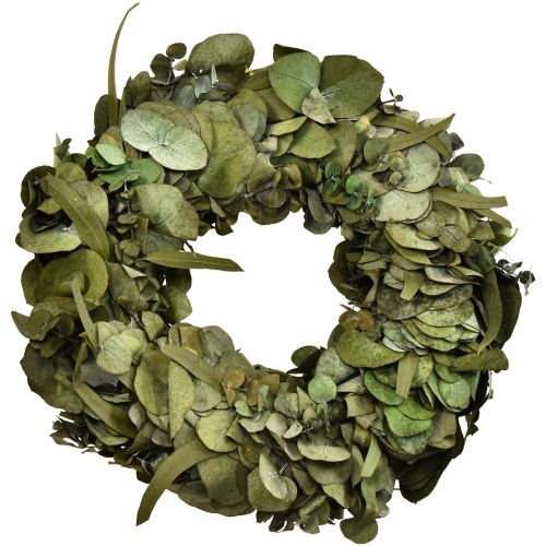 Floristik24 Coroa de eucalipto coroa natural eucalipto conservado Ø35cm