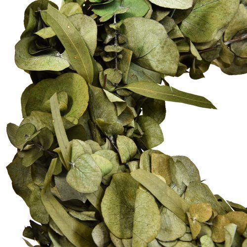 Floristik24 Coroa de eucalipto coroa natural eucalipto conservado Ø35cm