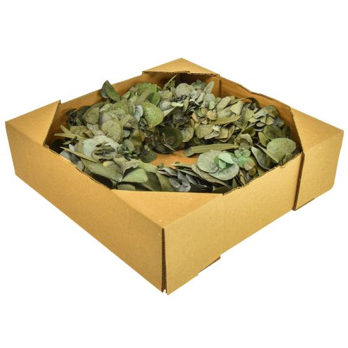 Floristik24 Coroa de eucalipto coroa natural eucalipto conservado Ø35cm