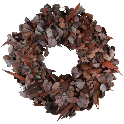 Floristik24 Coroa de eucalipto coroa natural eucalipto preservado vermelho Ø33cm