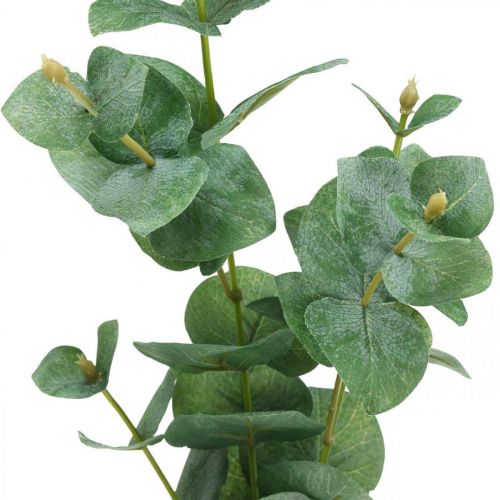 Floristik24 Eucalipto Ramo Planta Verde Artificial Eucalipto Deco 75cm