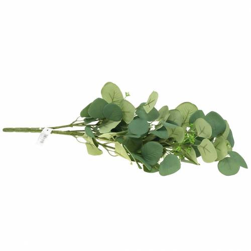 Floristik24 Ramo de eucalipto 52cm
