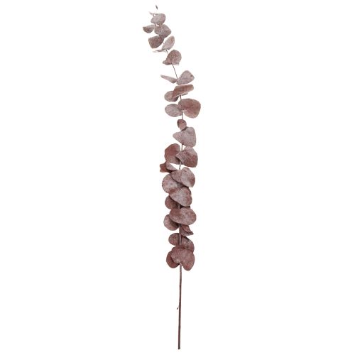 Itens Ramos de eucalipto, eucalipto preservado, flores secas, vermelho, 75 cm, 150 g