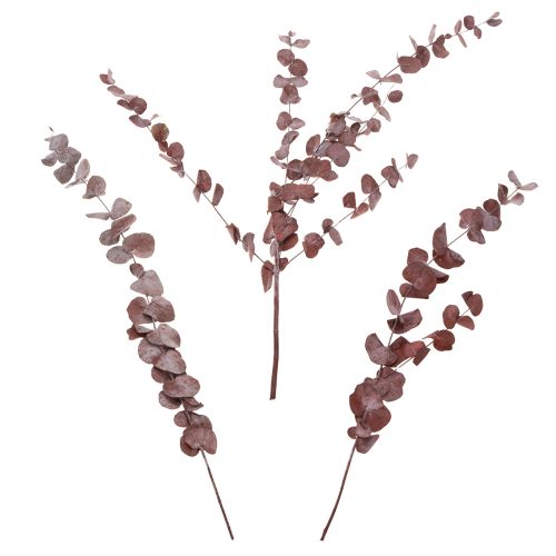 Itens Ramos de eucalipto, eucalipto preservado, flores secas, vermelho, 75 cm, 150 g