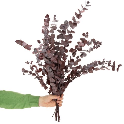 Itens Ramos de eucalipto, eucalipto preservado, flores secas, vermelho, 75 cm, 150 g