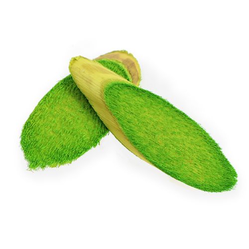 Floristik24 Discos decorativos de madeira verde primavera 300g