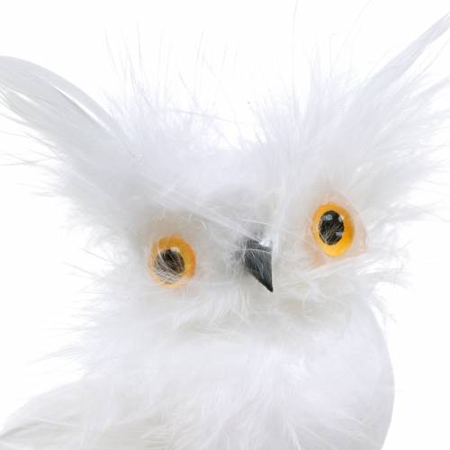 Floristik24 Coruja decorativa no clipe branco 10cm 4pcs