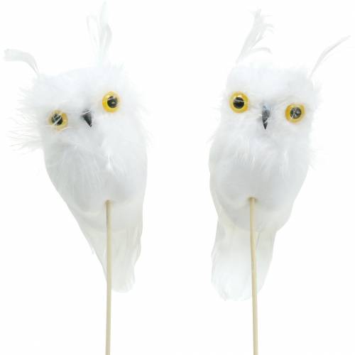 Floristik24 Plugue decorativo coruja branco 10 cm 2 unidades