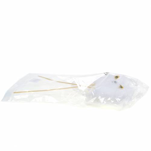 Floristik24 Plugue decorativo coruja branco 10 cm 2 unidades