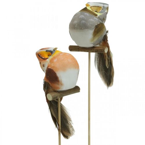 Itens Deco plugue coruja, decoração floral, coruja com penas H5.5cm 6pcs