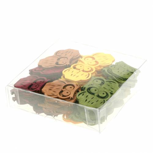 Floristik24 Decoração dispersa corujas madeira cores sortidas 4cm 72 unidades