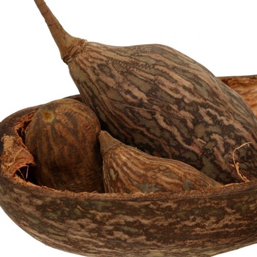 Floristik24 Mix de frutas baobá com tigela 300g