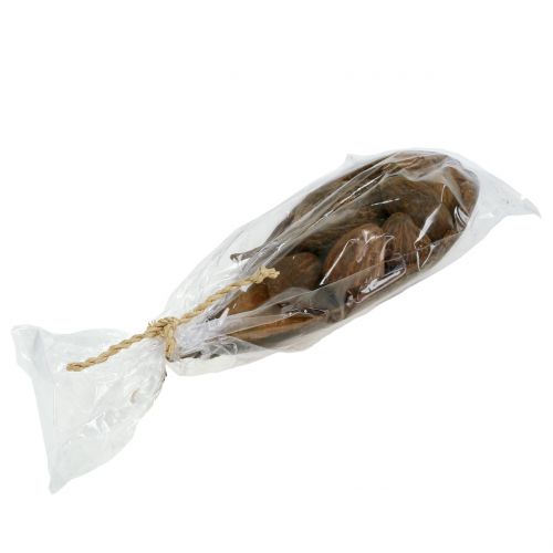 Floristik24 Mix de frutas baobá com tigela 300g