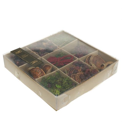 Floristik24 Conjunto de mistura exótica de artesanato