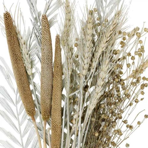 Floristik24 Flores secas DIY caixa exótica buquê seco branco, natural H55cm