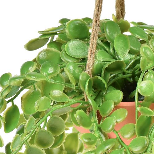 Itens Suculentas artificiais em vaso Cesto suspenso Sedum 34cm