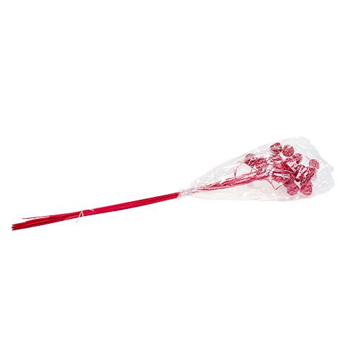 Floristik24 Fancy Ting Ting rosa 25 unidades