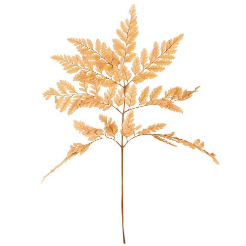 Itens Decoração de samambaia Folhas de samambaia reais Laranja preservada 45cm 10 unidades