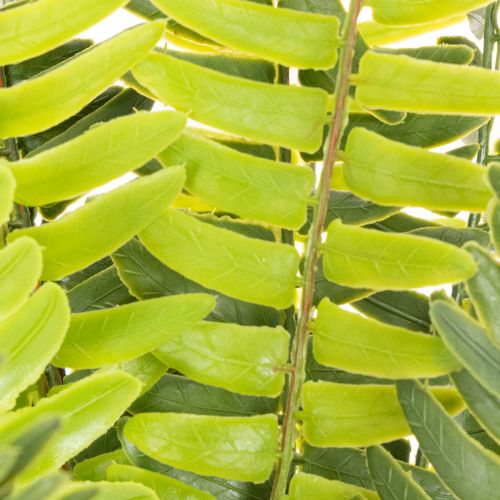 Ramo de samambaia artificial, planta verde artificial para decoração, 45 cm | Floristik24.pt