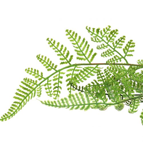 Floristik24 Samambaia em um vaso verde 60cm