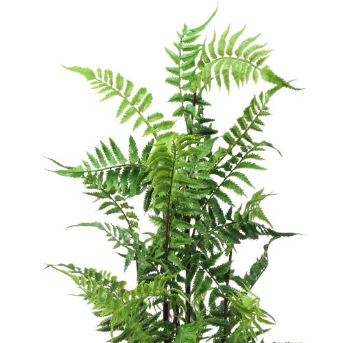 Floristik24 Samambaia em um vaso verde 80cm