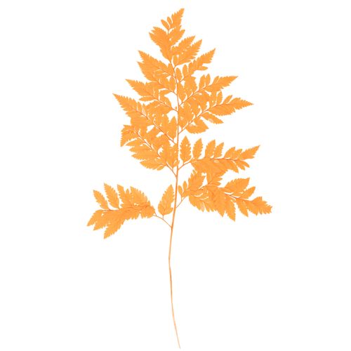 Folhas de samambaia secas e preservadas para arranjos florais e decoração de outono, 42 cm, 10 peças